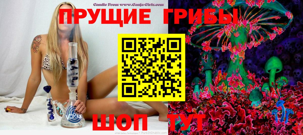 Северск  Псилоцибиновые грибы Magic Shrooms  Вход с VPN  Псилоцибиновые грибы Magic Shrooms 